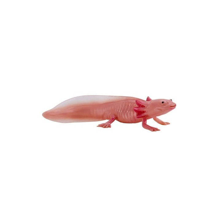 Mojo Axolotl