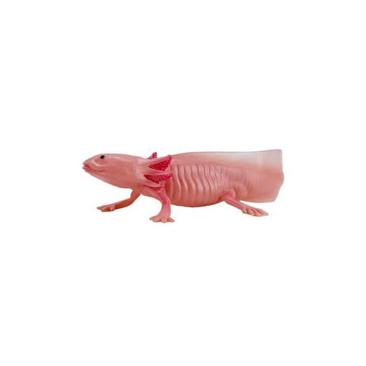 Mojo Axolotl