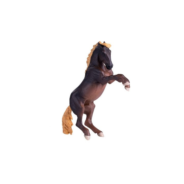 Mojo Hřebec Brumby