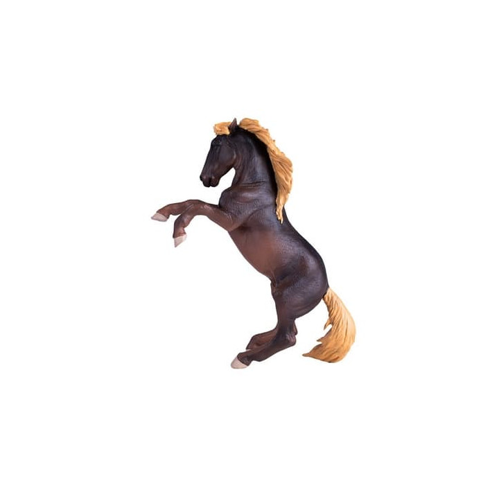 Mojo Hřebec Brumby
