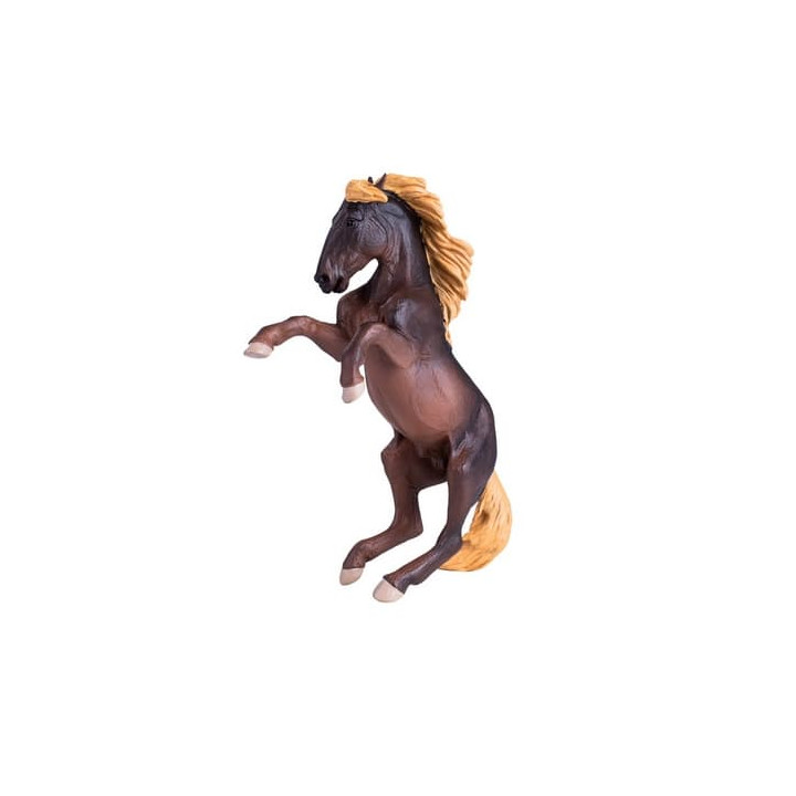 Mojo Hřebec Brumby