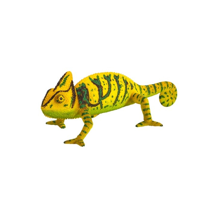 Mojo Chameleon