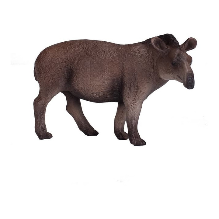 Mojo Tapír jihoamerický