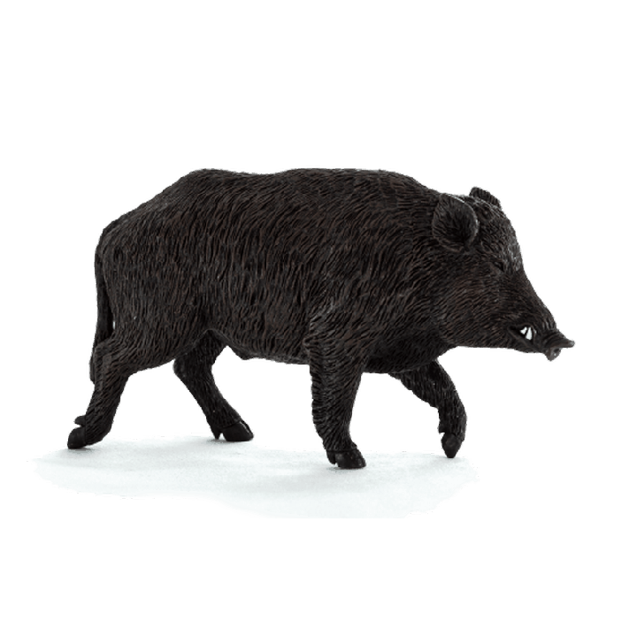 Animal Planet Divočák