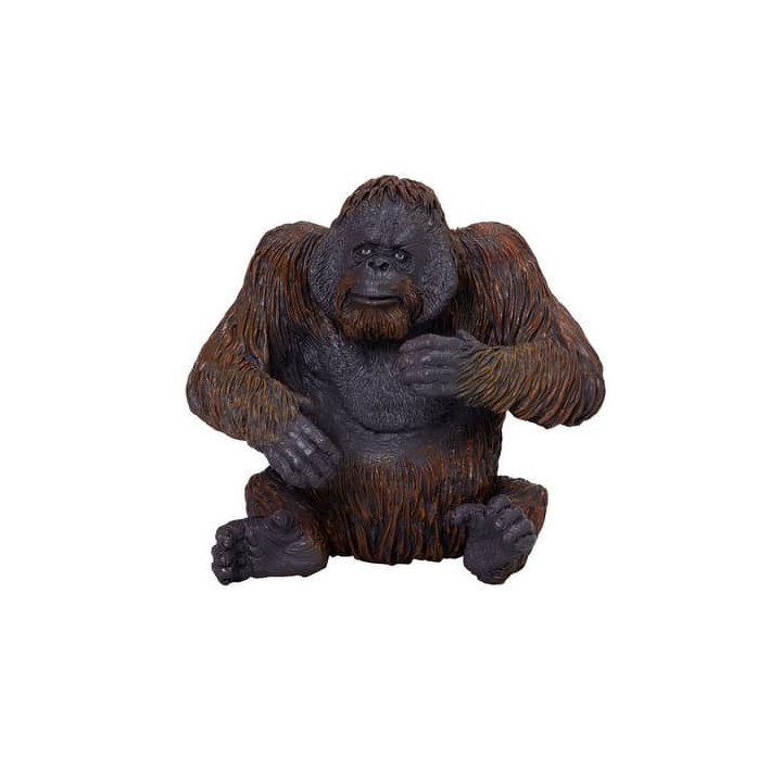 Mojo Orangutan