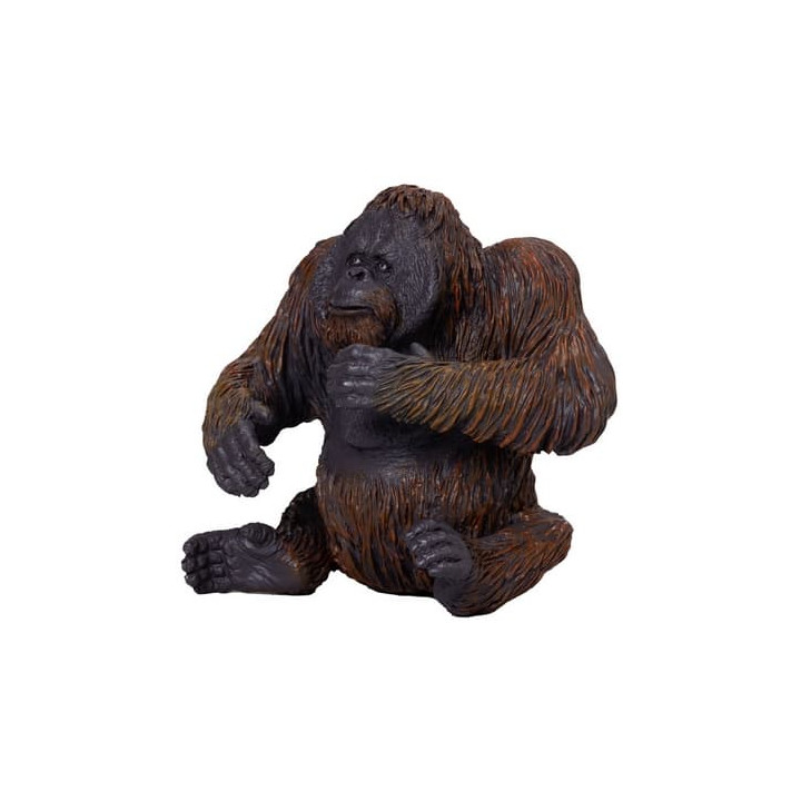 Mojo Orangutan