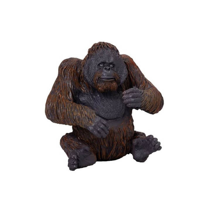 Mojo Orangutan
