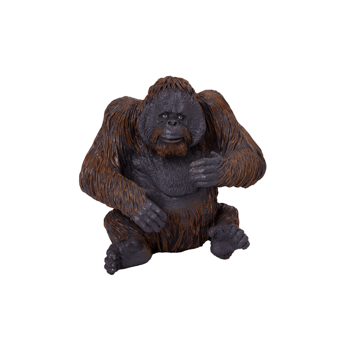 Mojo Orangutan