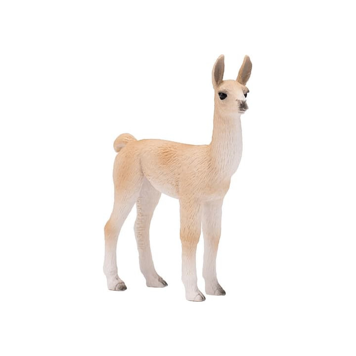 Mojo Lama mládě