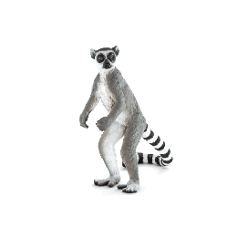 Mojo Lemur kata