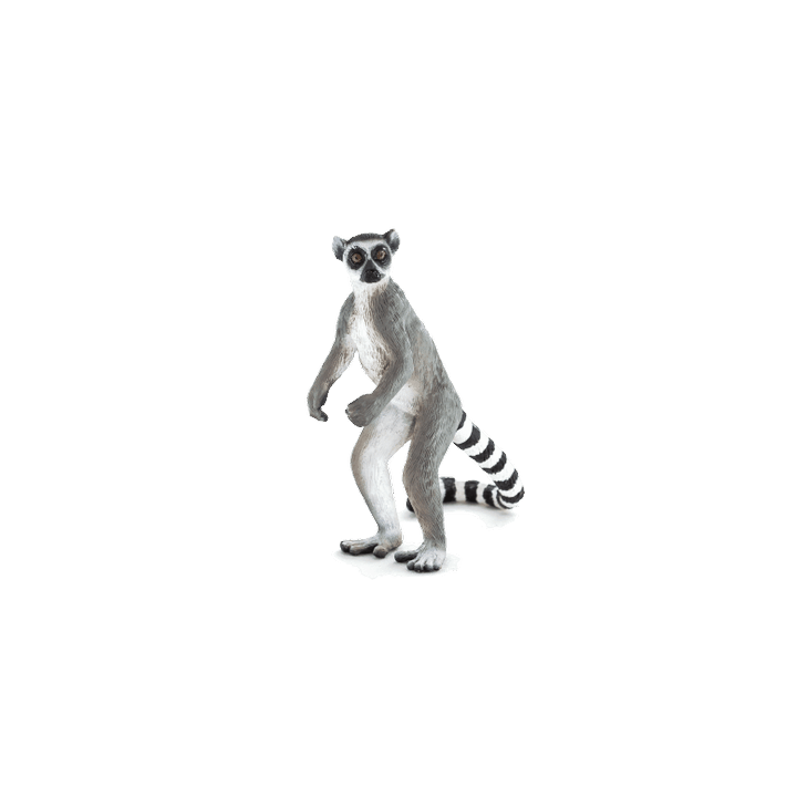 Mojo Lemur kata