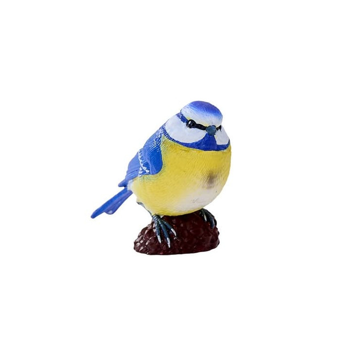 Mojo Sýkora modřinka