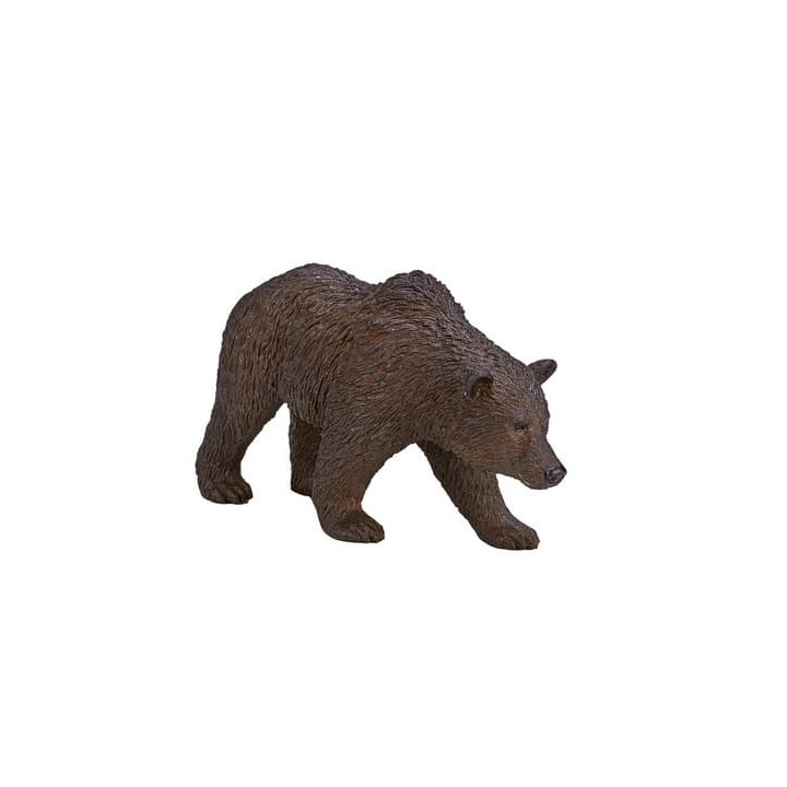 Mojo Medvěd grizzly