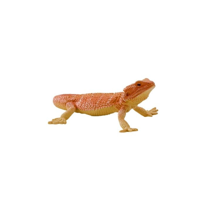 Mojo Agama