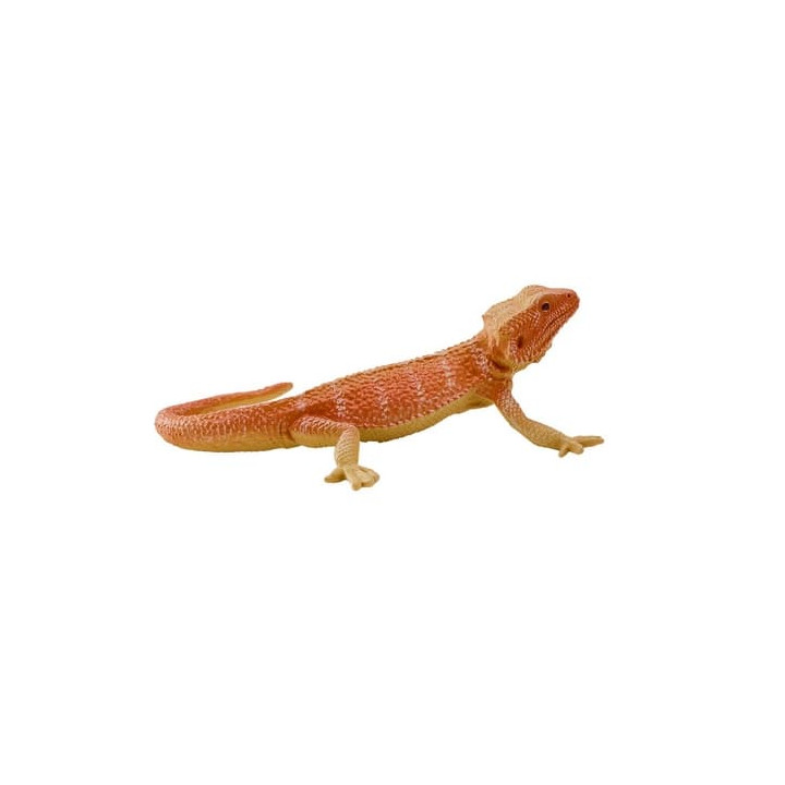 Mojo Agama