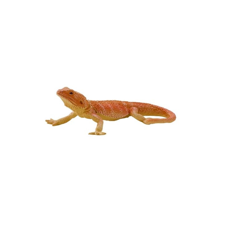 Mojo Agama