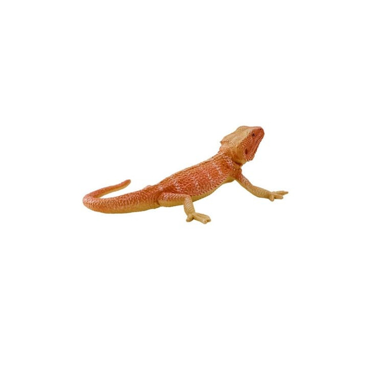 Mojo Agama
