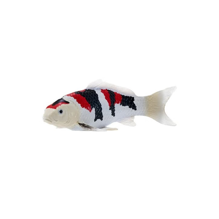Mojo Kapr koi showa sanshoku