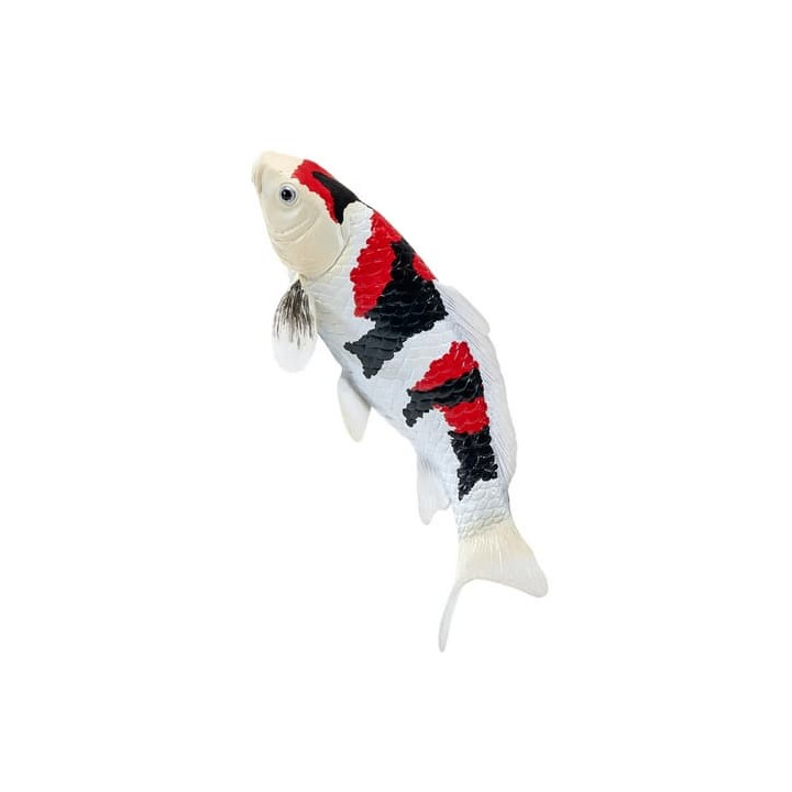 Mojo Kapr koi showa sanshoku