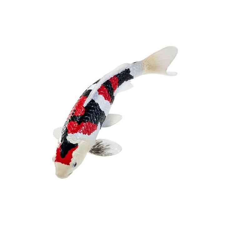 Mojo Kapr koi showa sanshoku