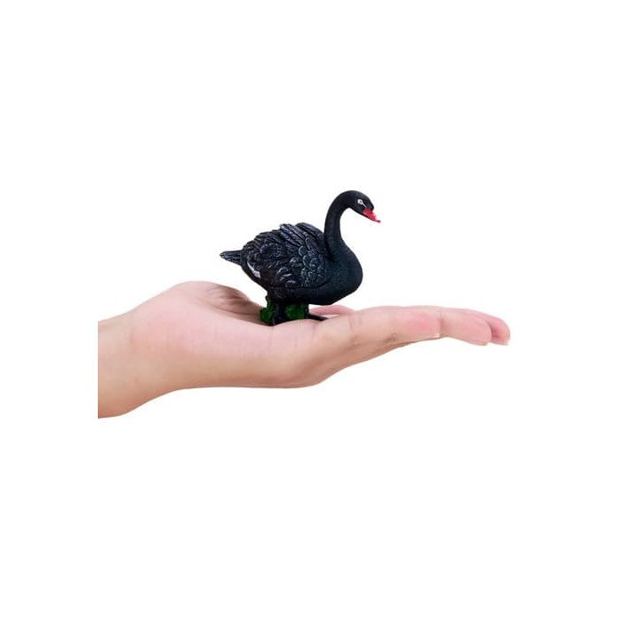 Mojo Labuť černá