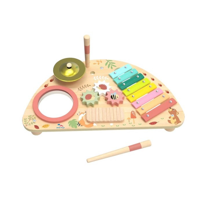 2Kids Toys Multifunkční hudební deska
