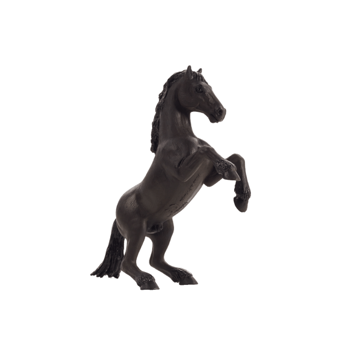 Mojo Mustang černý
