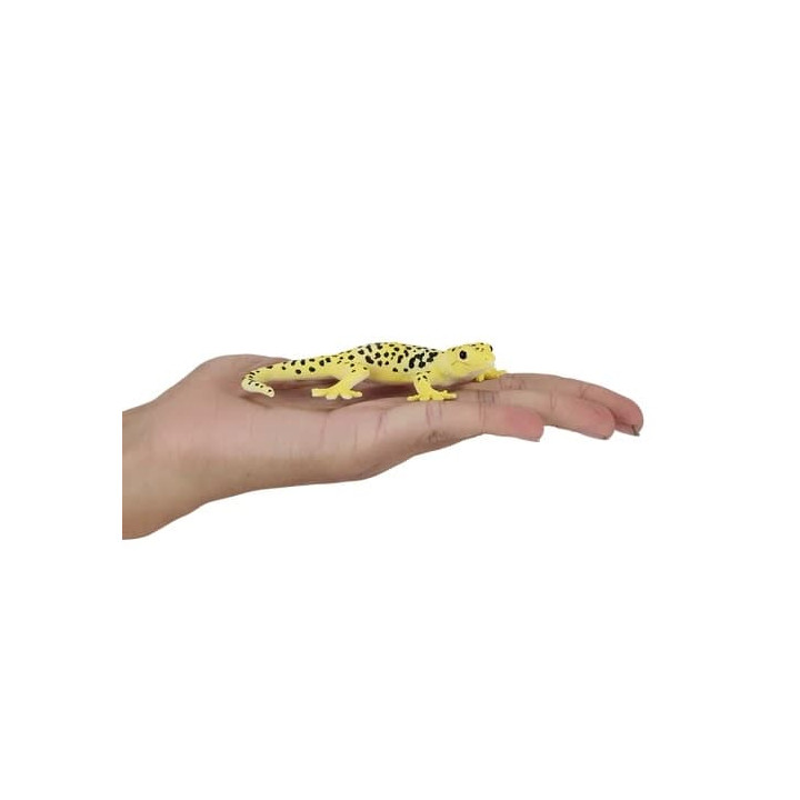 Mojo Gekončík noční