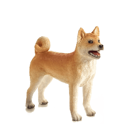 Mojo Pes shiba-inu