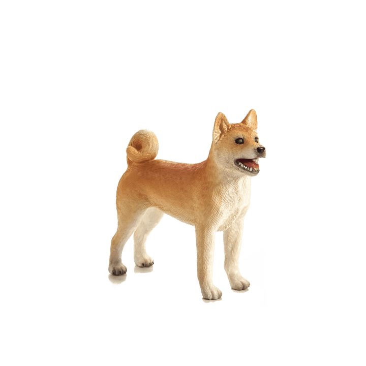 Mojo Pes shiba-inu