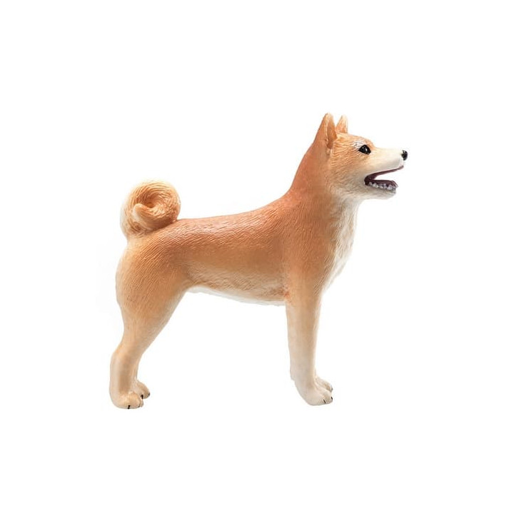 Mojo Pes shiba-inu
