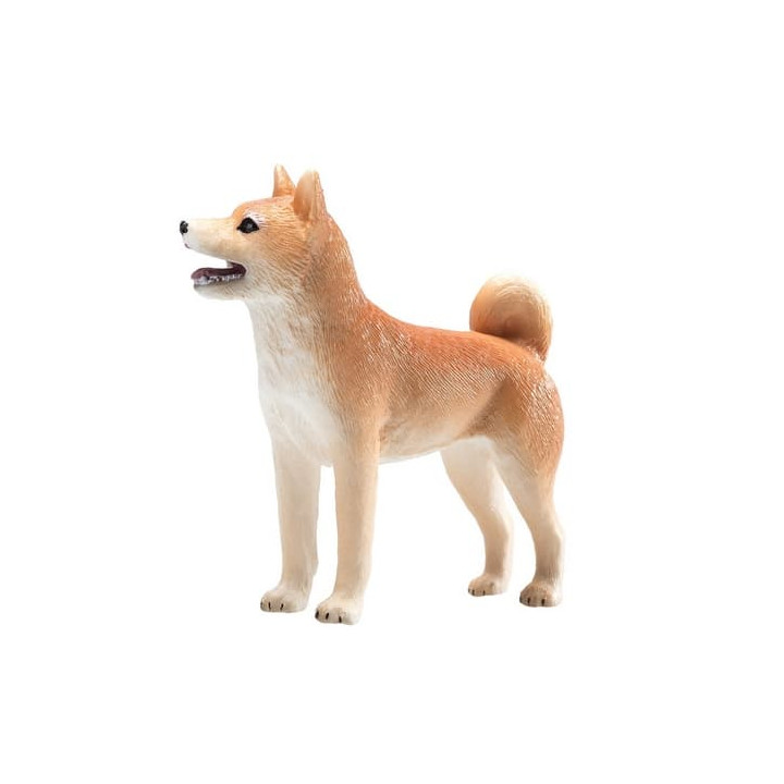 Mojo Pes shiba-inu
