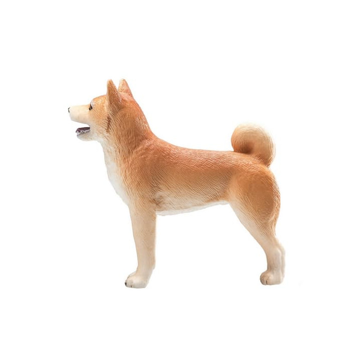 Mojo Pes shiba-inu