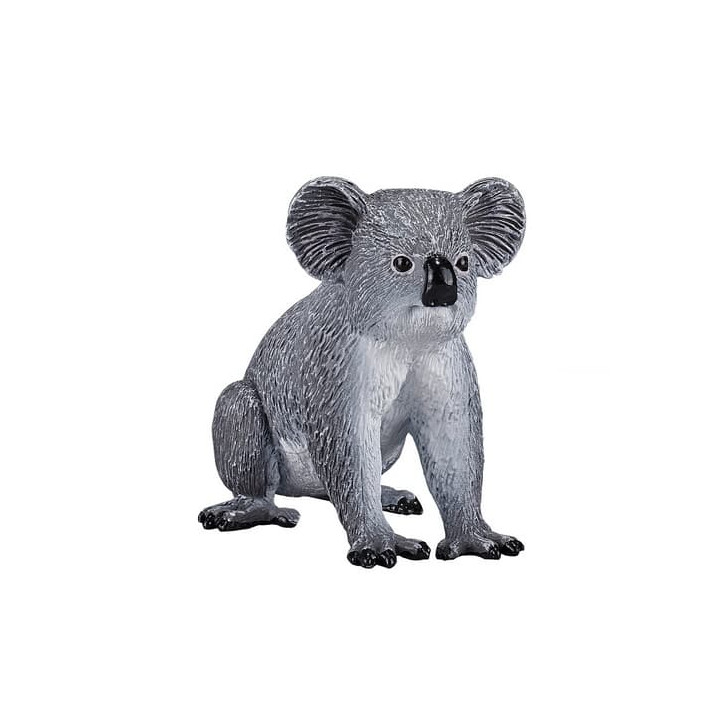 Mojo Koala