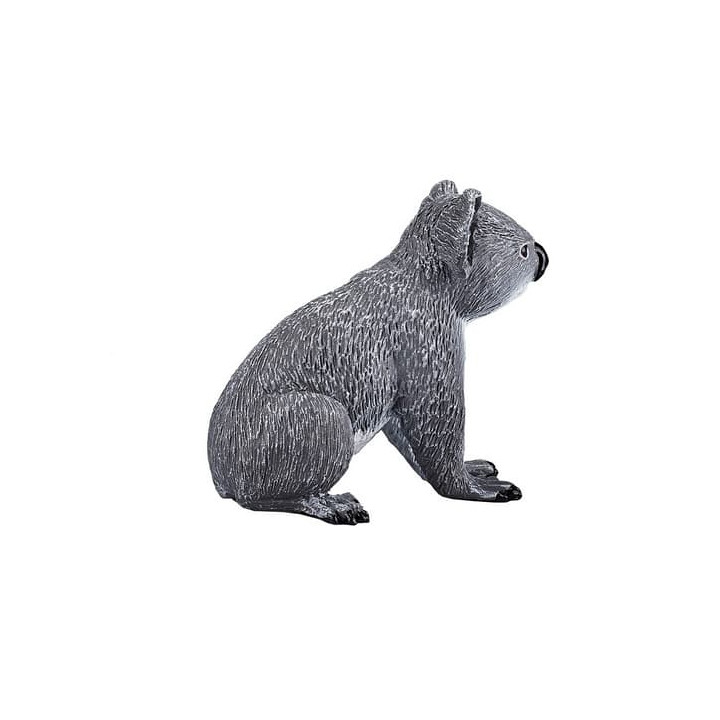 Mojo Koala