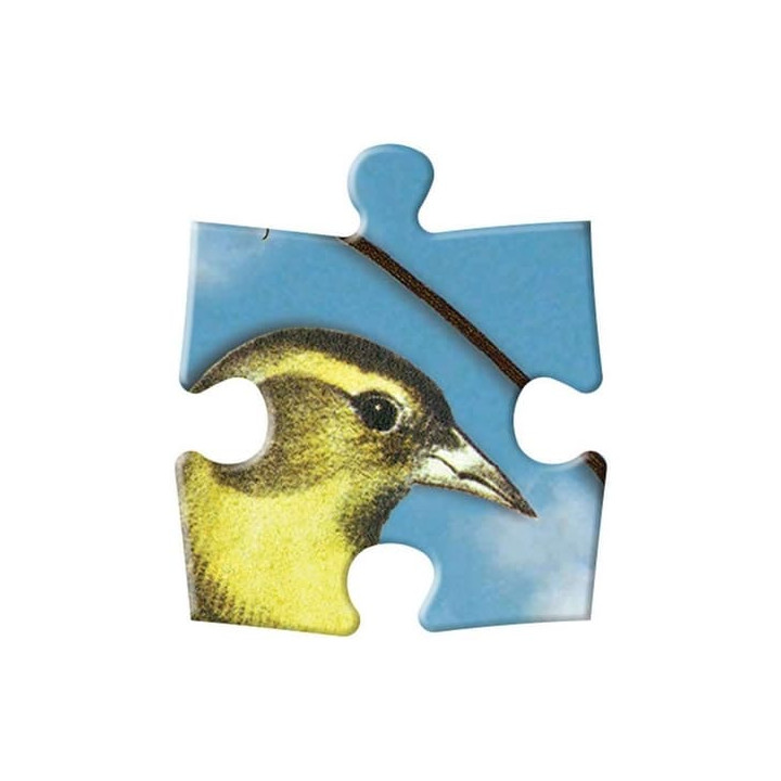 Galison Oboustranné puzzle Ptačí symfonie 250 dílků