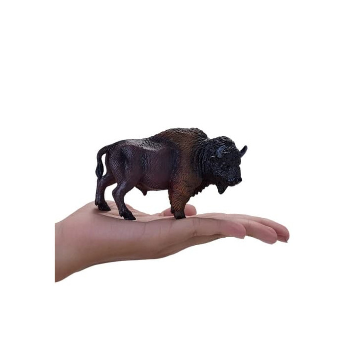 Mojo Americký bizon samice