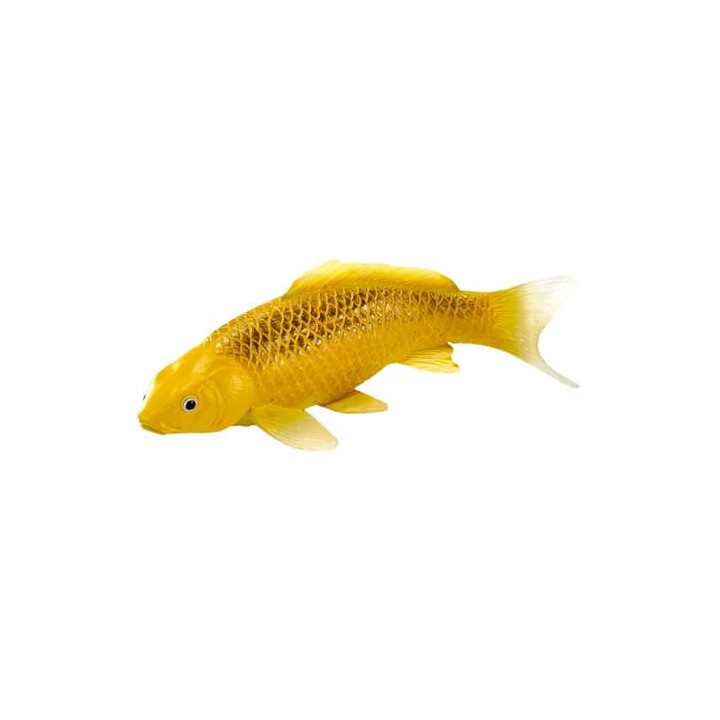 Mojo Kapr koi kin matsuba