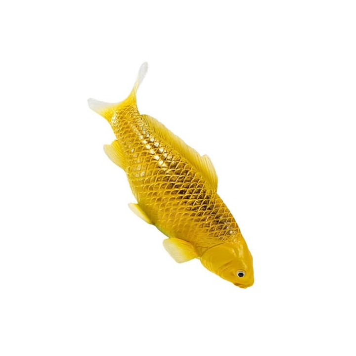 Mojo Kapr koi kin matsuba