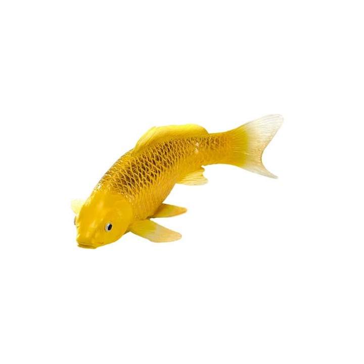 Mojo Kapr koi kin matsuba