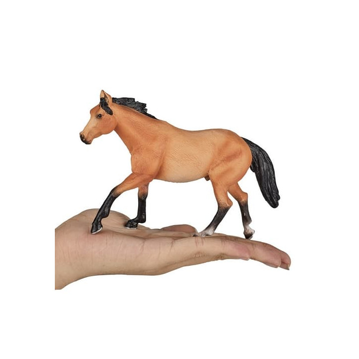 Mojo Quarter horse plavák