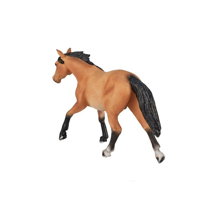 Mojo Quarter horse plavák