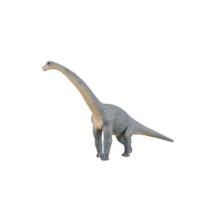 Mojo Brachiosaurus