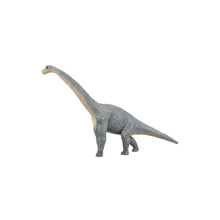 Mojo Brachiosaurus