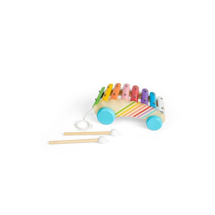 Bigjigs Toys Tahací xylofon