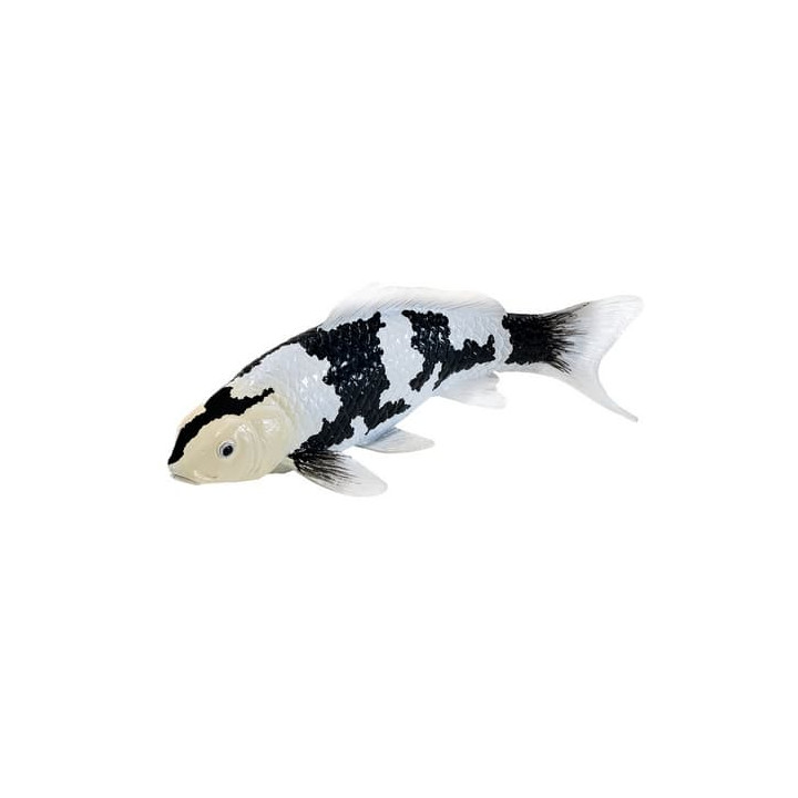 Mojo Kapr koi shiro utsuri