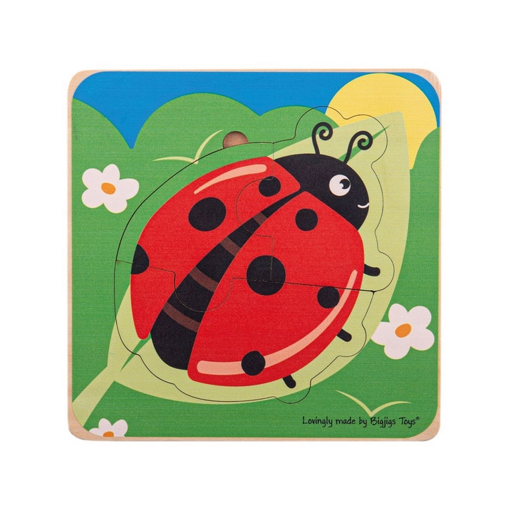 Bigjigs Toys Vkládací puzzle životní cykly berušky