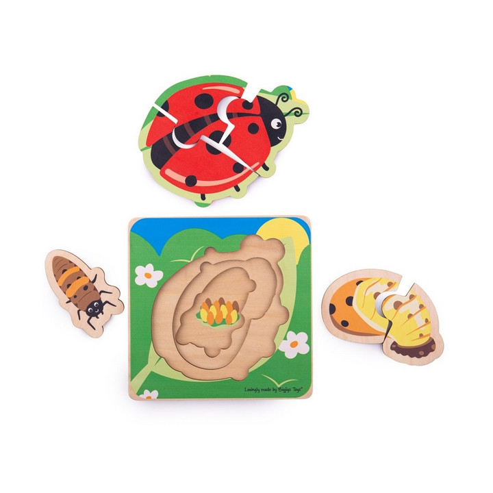 Bigjigs Toys Vkládací puzzle životní cykly berušky
