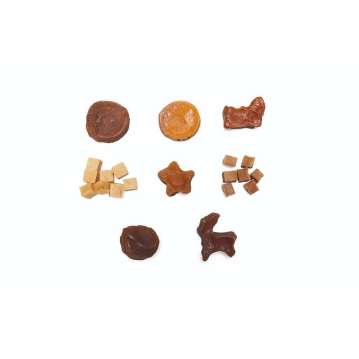 Beeztees PAW Adventní kalendář pro psy 100g