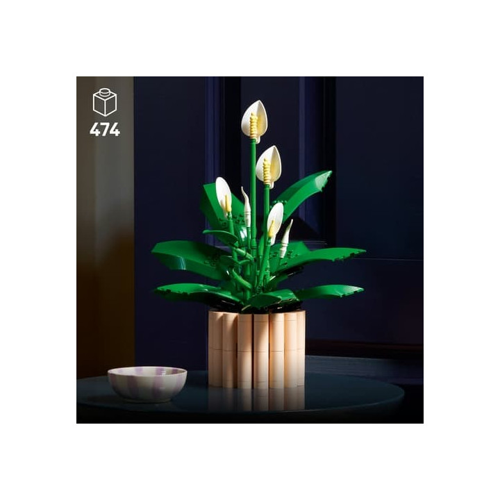 LEGO® Botanicals 11504 Lopatkovec